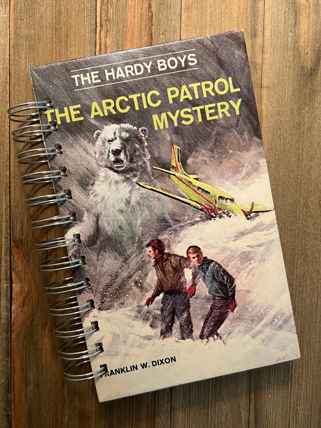 The Hardy Boys: The Arctic Patrol Mystery