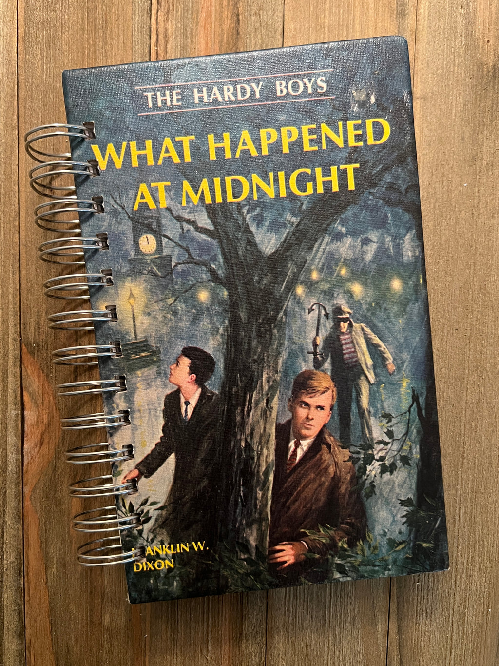 The Hardy Boys: What Happened at Midnight