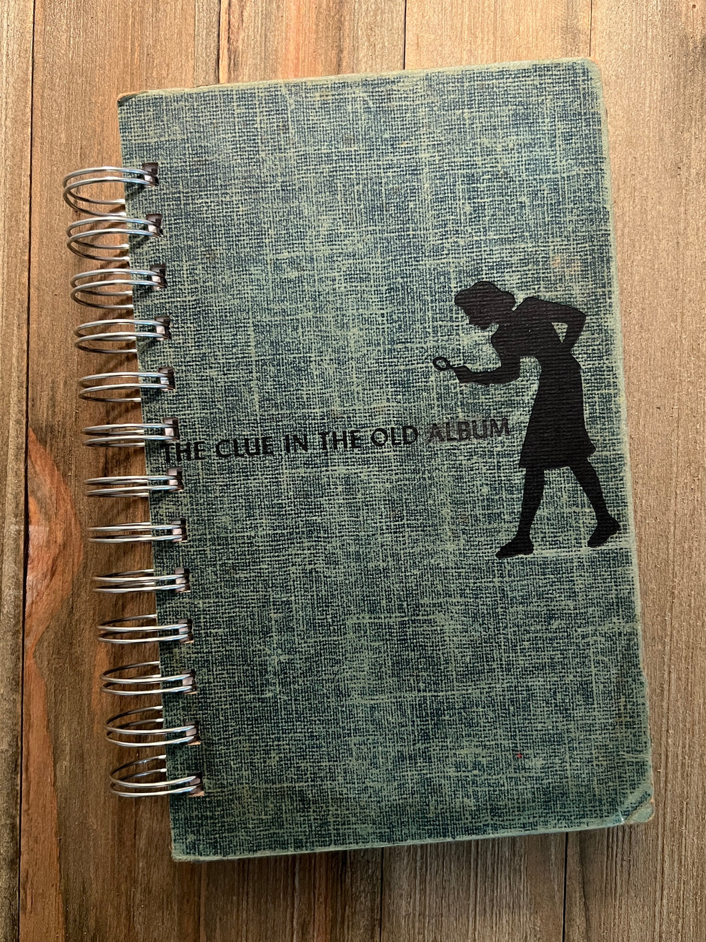 Nancy Drew: The Clue in the Old Album