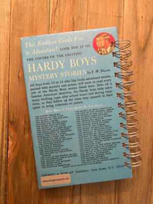 The Hardy Boys: The Arctic Patrol Mystery