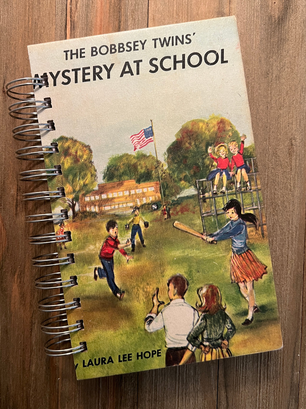 The Bobbsey Twins' Mystery at School