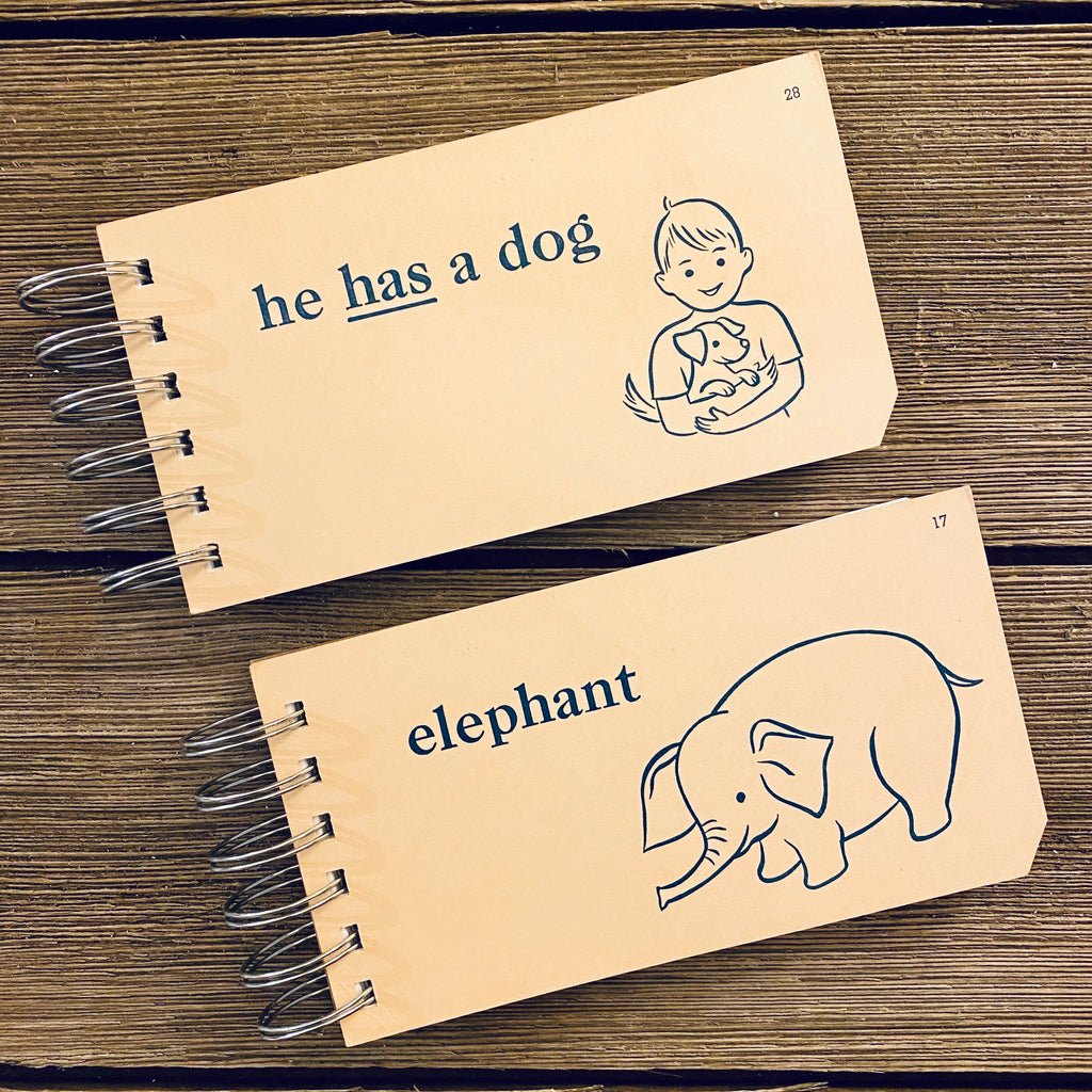Word Flash Card Note Pads (he has a dog, elephant)