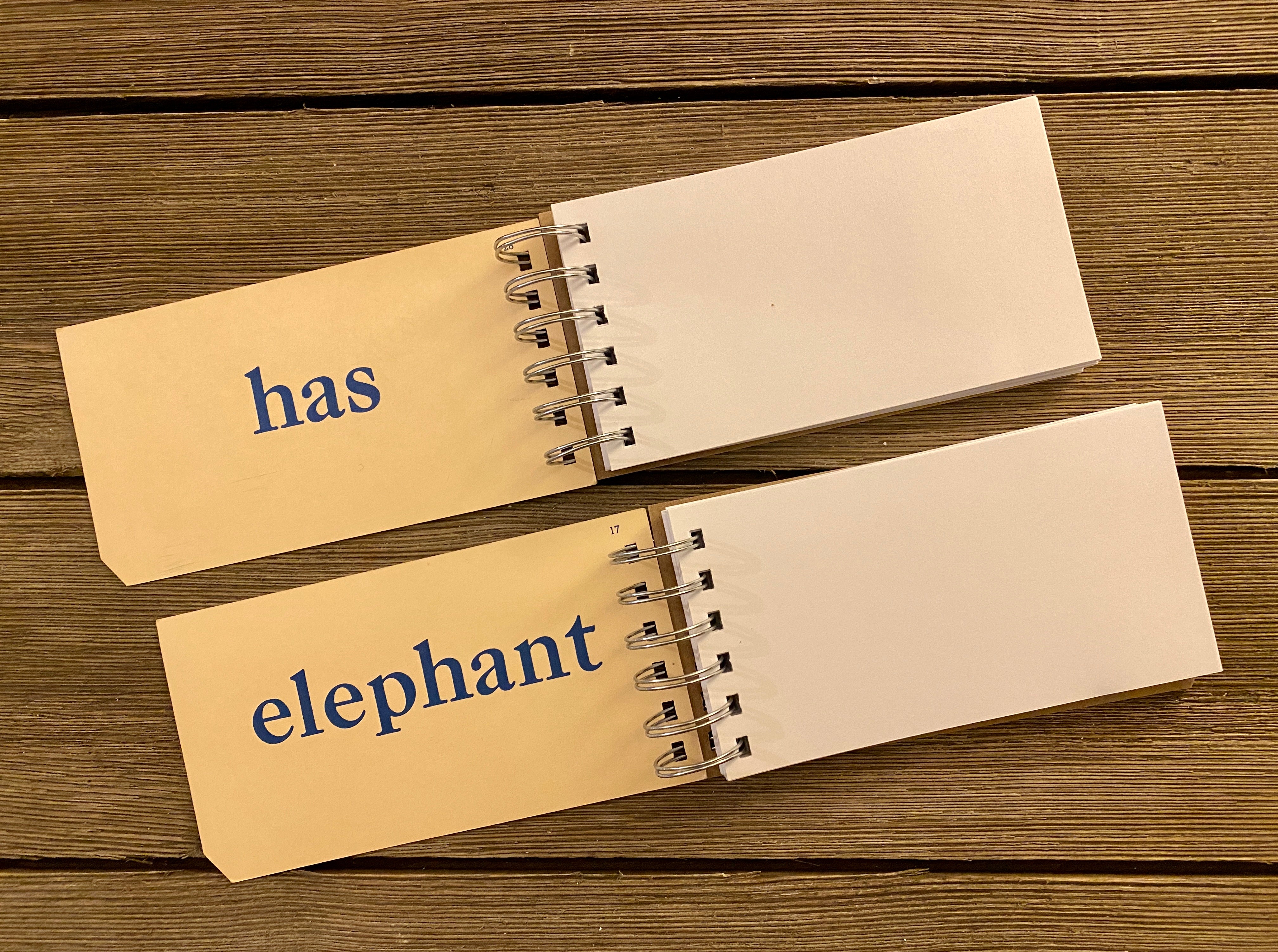 Word Flash Card Note Pads (he has a dog, elephant)