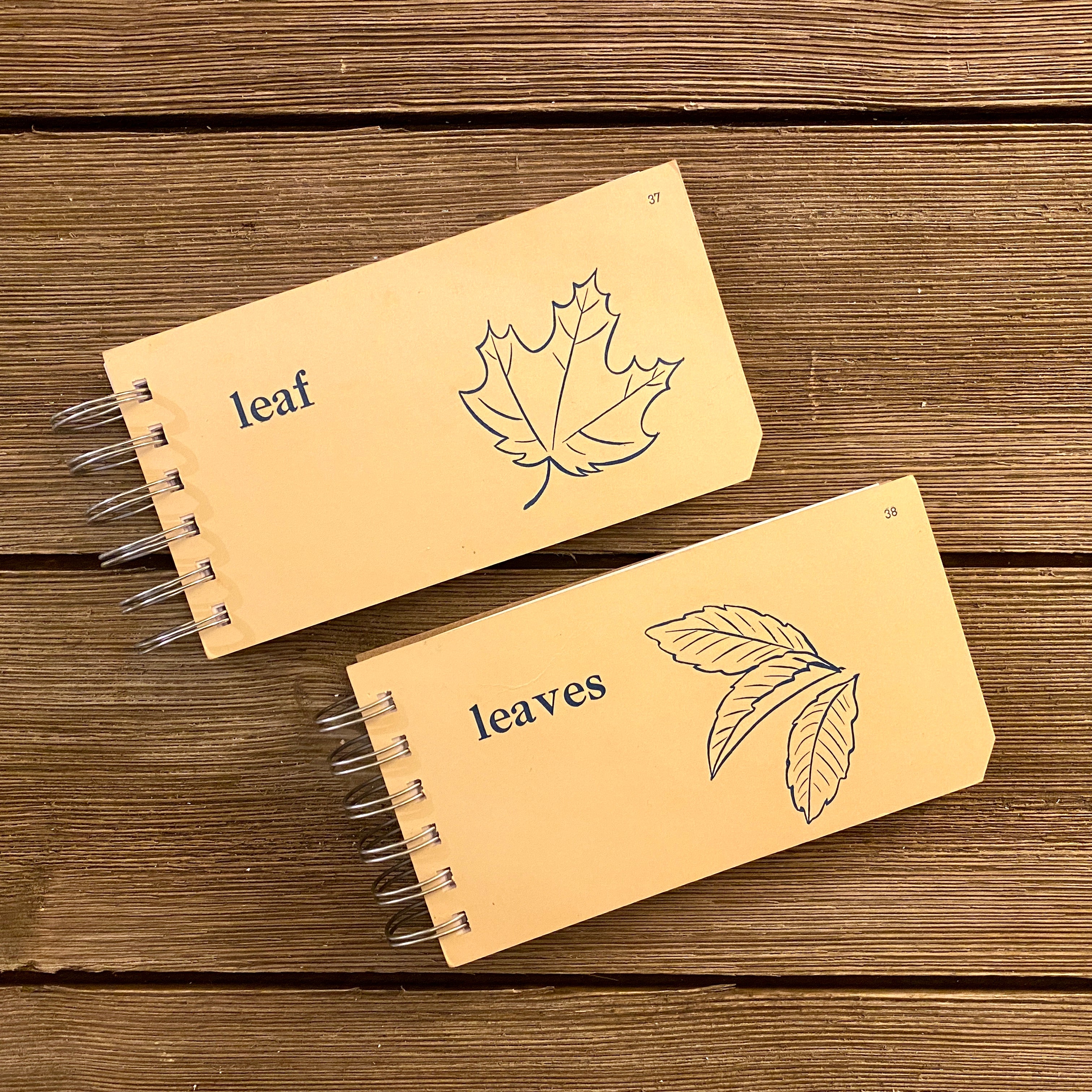 Word Flash Card Note Pads (leaf, leaves)