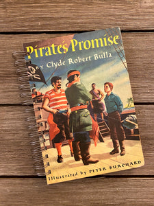 Pirate's Promise