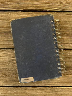 Cathedral Basic Readers - Book Three