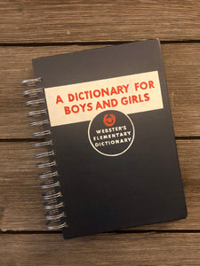A Dictionary for Boys and Girls